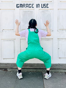 Little seedling overalls 🍃