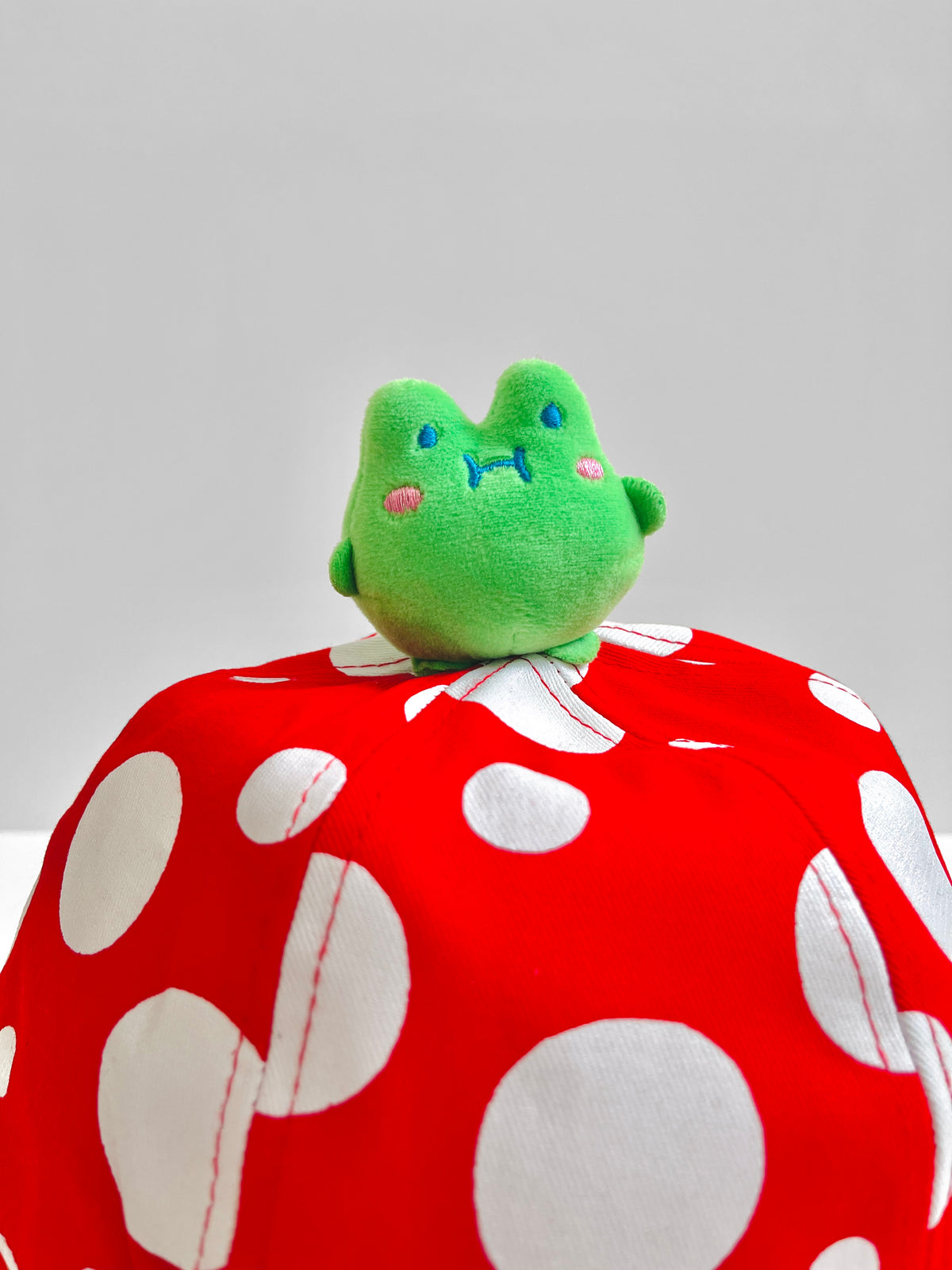 Mushroom Red Bucket Hat & 3D Sue Frog Plushie Topper